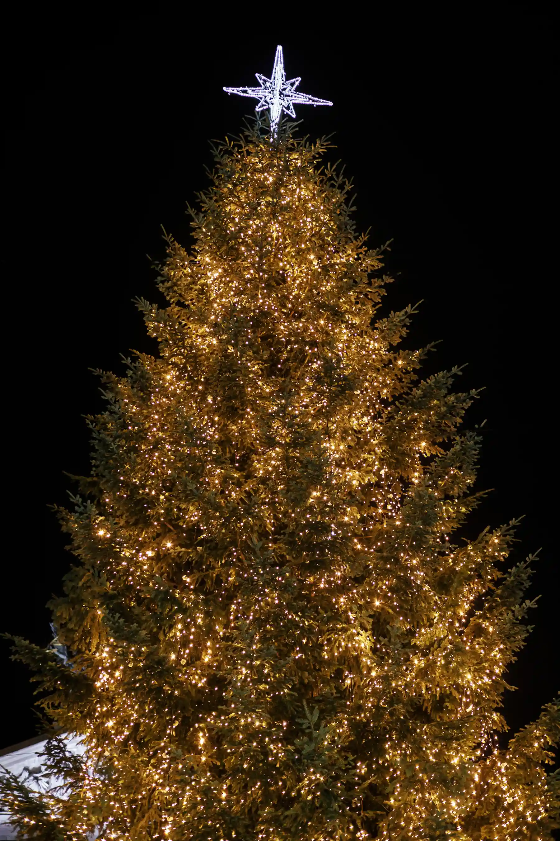 Mercatini di Natale a Prato