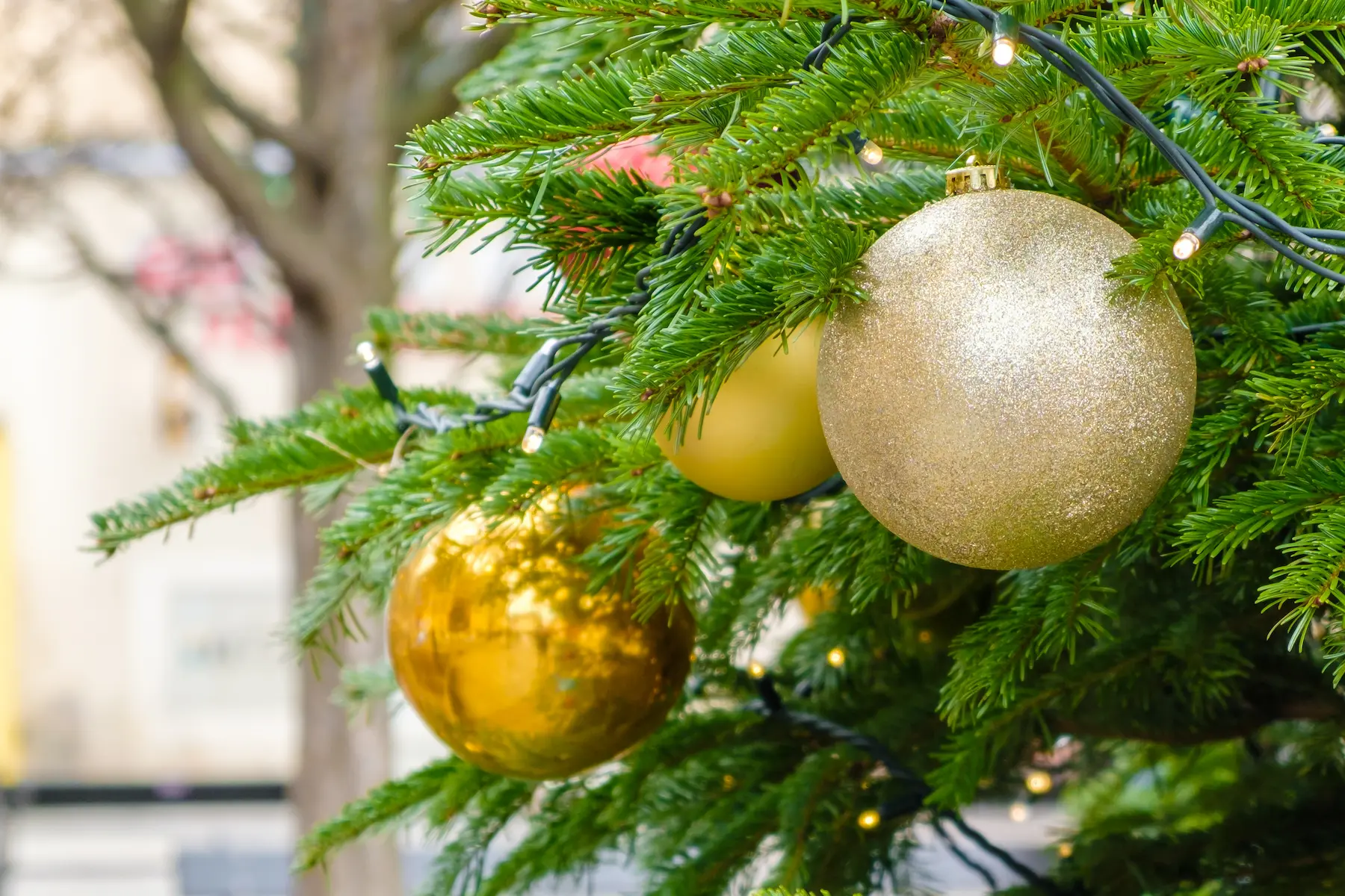 Mercatini di Natale a Rovereto