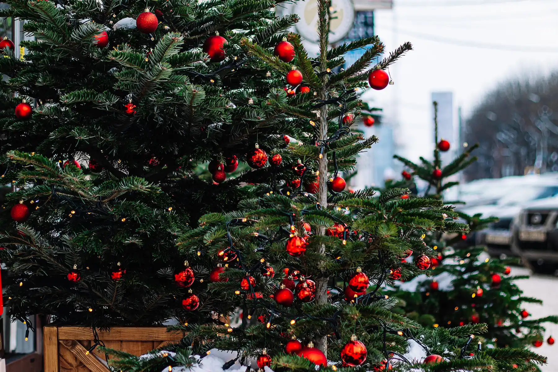 Mercatini di Natale a Saluzzo