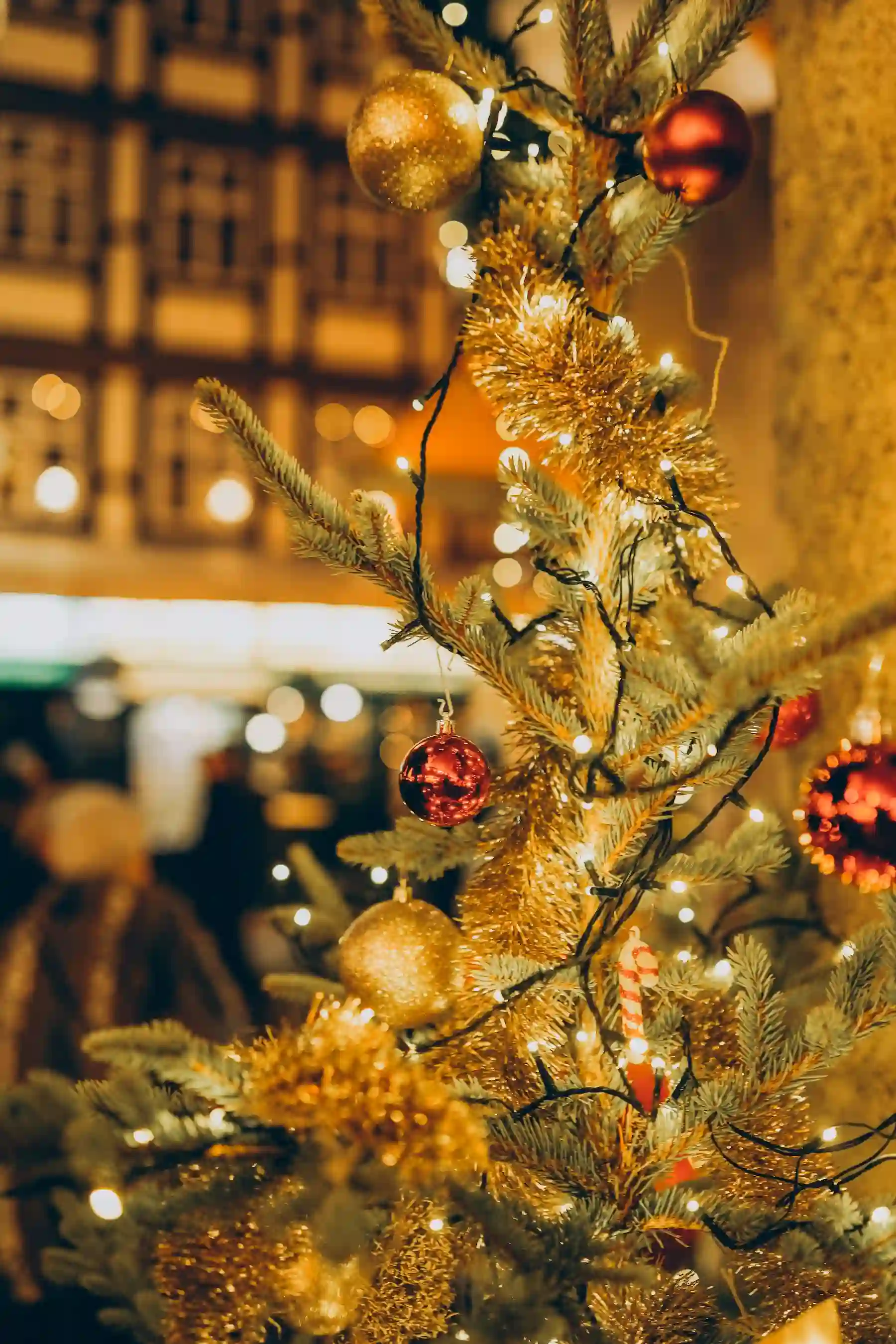 Mercatini di Natale a Torre Pellice